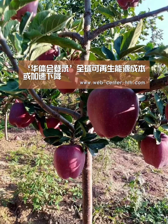 ‘华体会登录’全球可再生能源成本或加速下降(图4) 华体会官网