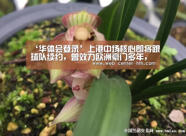华体会登录