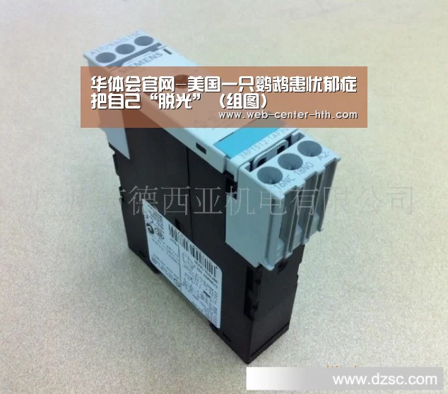 华体会登录