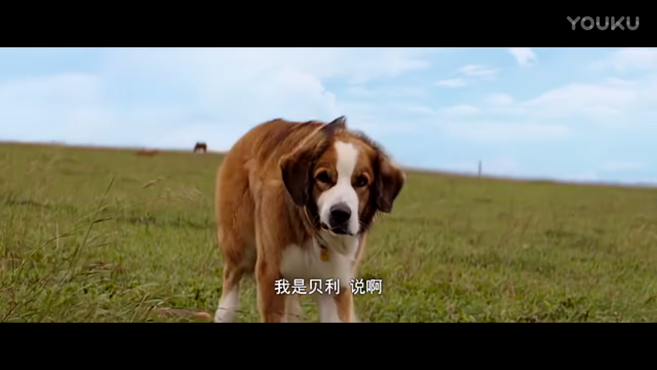 华体会