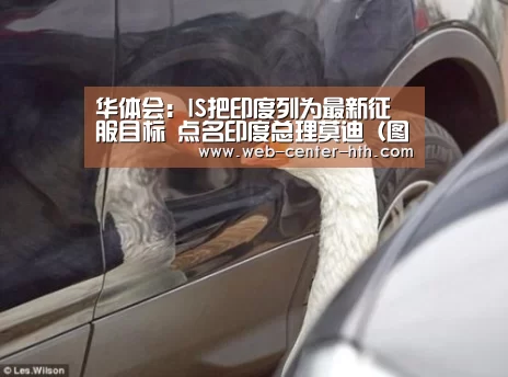 华体会登录